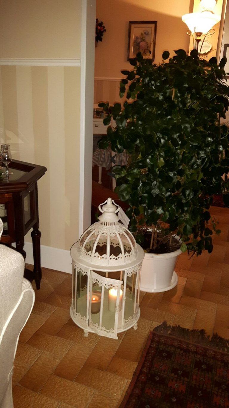 Arredamenti Ivaldi
